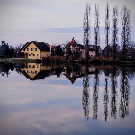 Guest House Vila Alexandar Palić エクステリア 写真