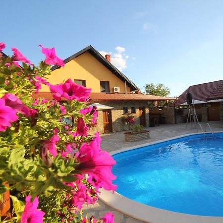 Guest House Vila Alexandar Palić エクステリア 写真