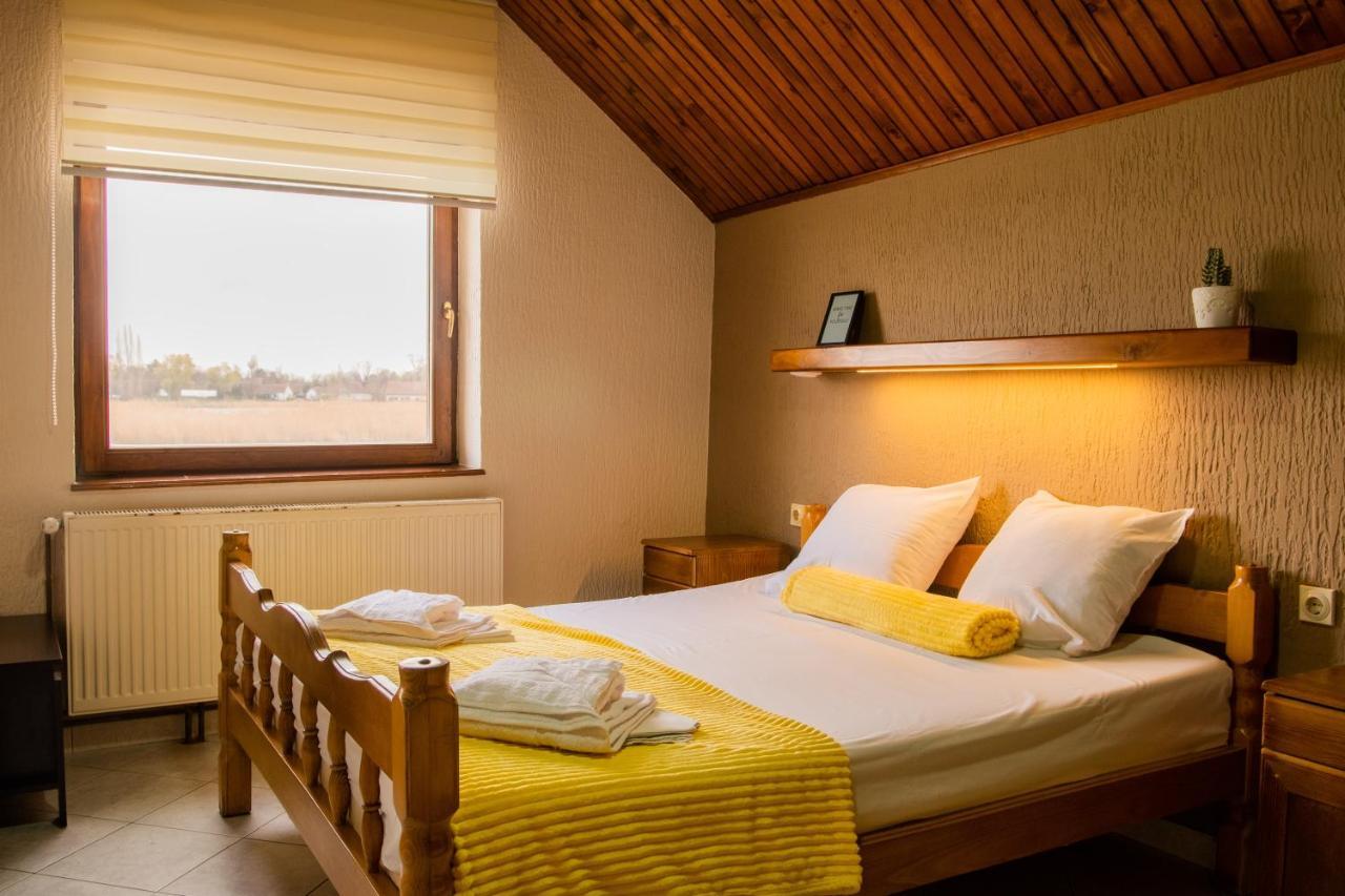 Guest House Vila Alexandar Palić エクステリア 写真