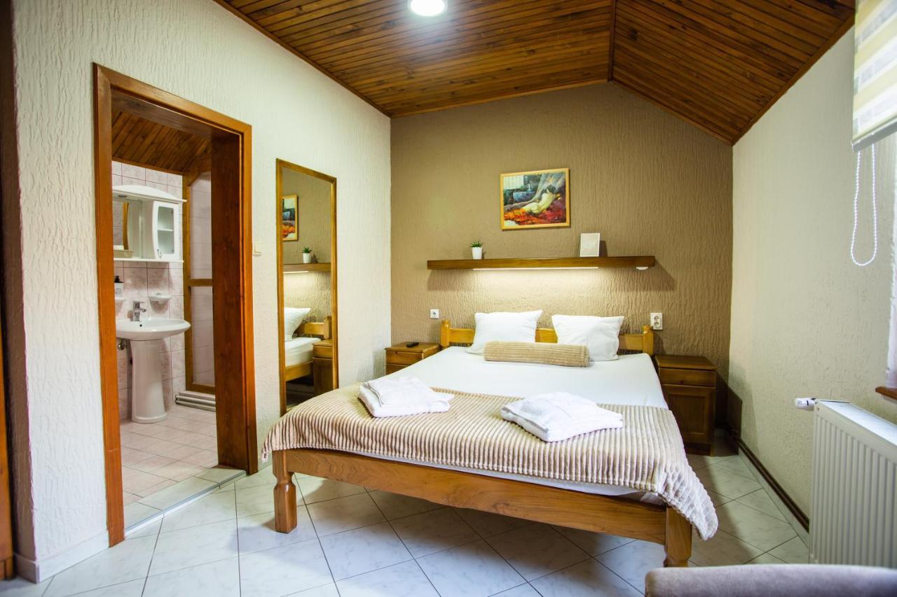 Guest House Vila Alexandar Palić エクステリア 写真