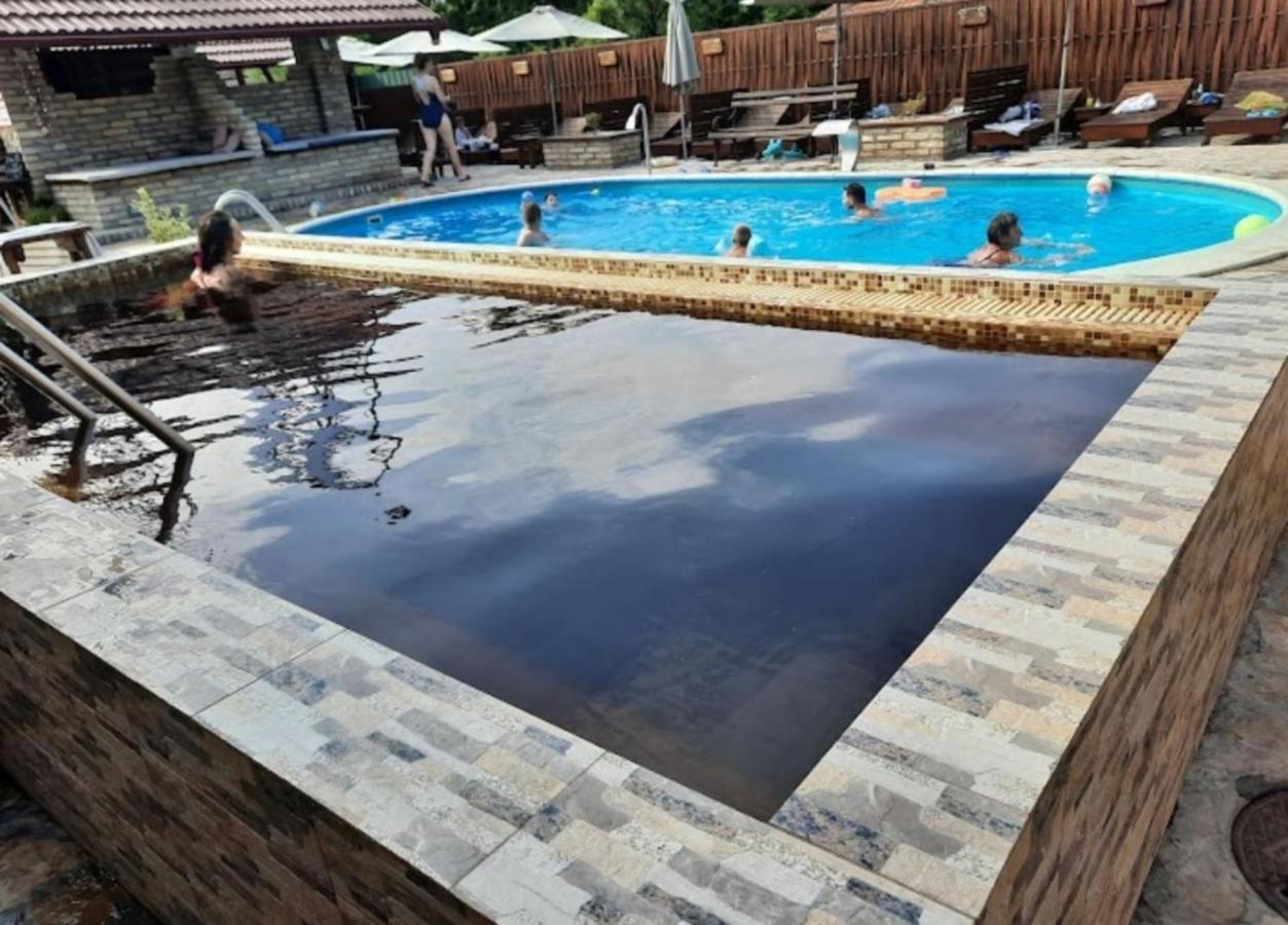 Guest House Vila Alexandar Palić エクステリア 写真