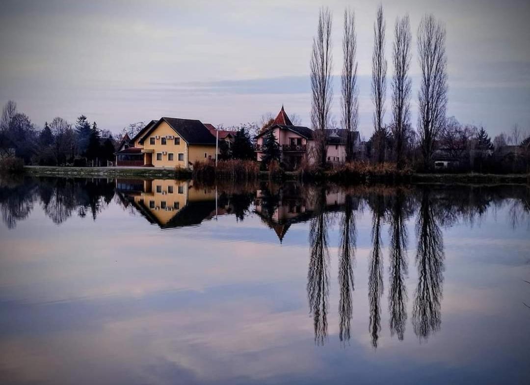 Guest House Vila Alexandar Palić エクステリア 写真