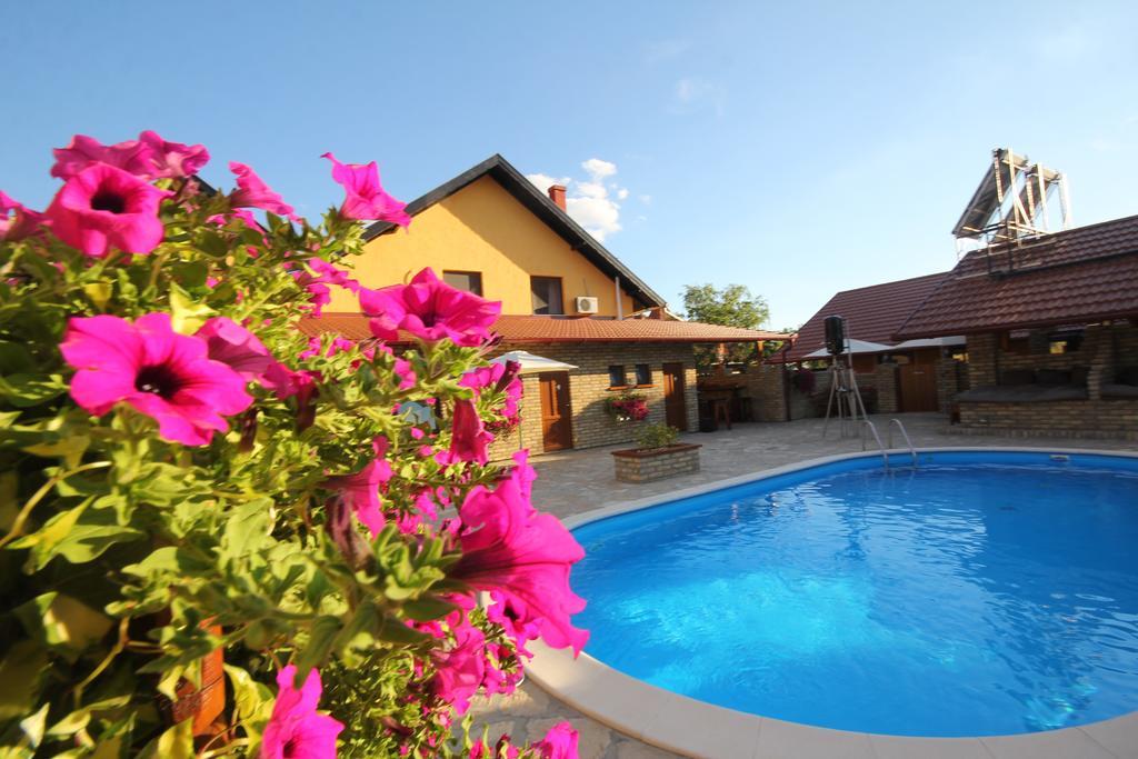 Guest House Vila Alexandar Palić エクステリア 写真