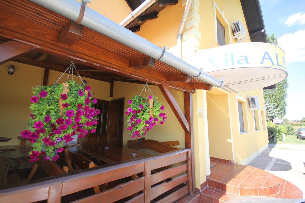 Guest House Vila Alexandar Palić エクステリア 写真
