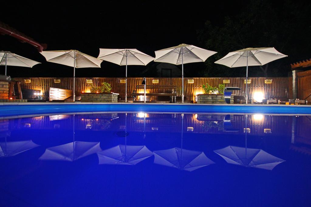 Guest House Vila Alexandar Palić エクステリア 写真