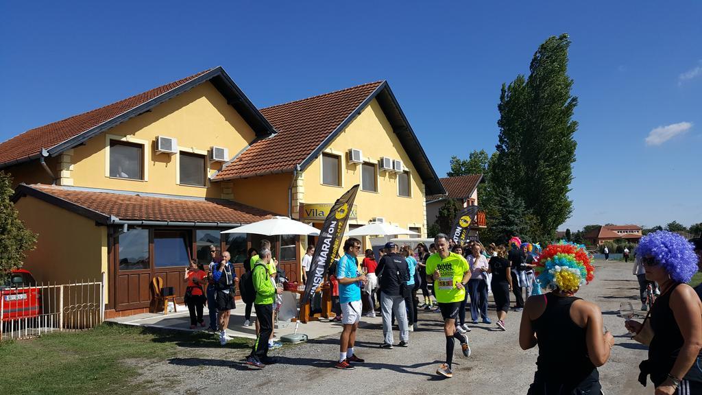 Guest House Vila Alexandar Palić エクステリア 写真